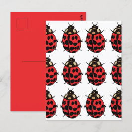 Ladybug Red Black Insekt Ladybug Vykort