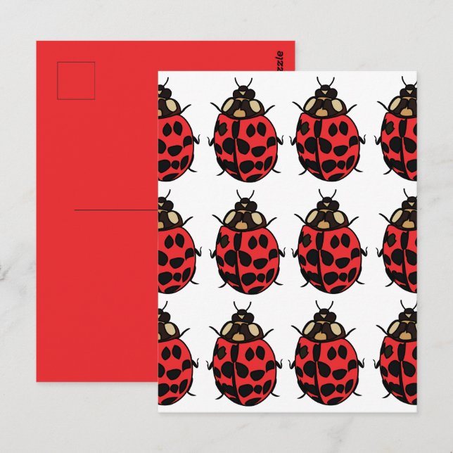 Ladybug Red Black Insekt Ladybug Vykort (Fram/baksida)