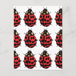 Ladybug Red Black Insekt Ladybug Vykort