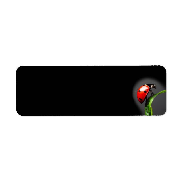 Ladybug Returadress Etikett (Framsidan)
