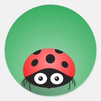 Ladybug Runt Klistermärke