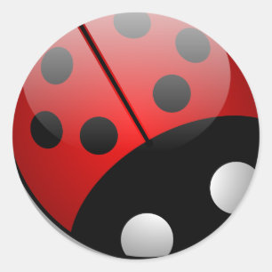 Ladybug Runt Klistermärke