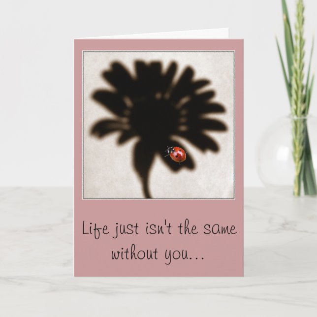 Ladybug saknar ditt kort (Framsida)
