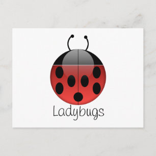 Ladybug Series 2-vykort Vykort