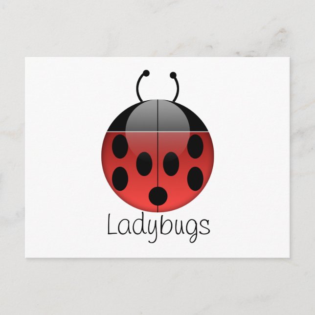 Ladybug Series 2-vykort Vykort (Framsida)