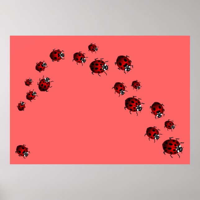 Ladybug Skriv ut Ladybird Art Large Small Poster (Framsidan)