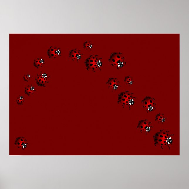 Ladybug Skriv ut Ladybird Art Large Small Poster (Framsidan)