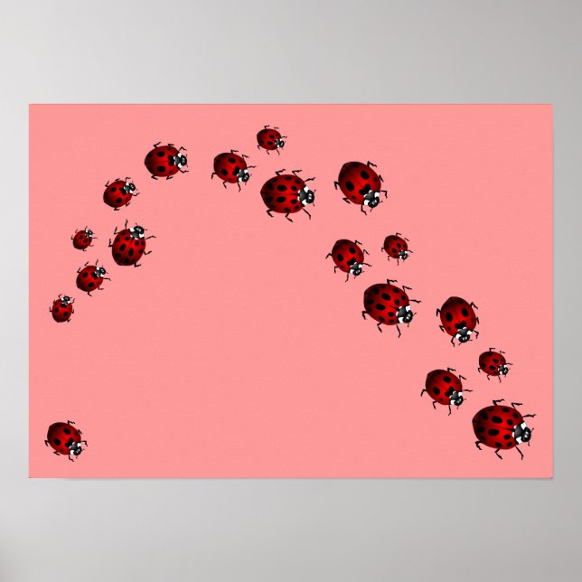 Ladybug Skriv ut Ladybird Art Large Small Poster (Framsidan)
