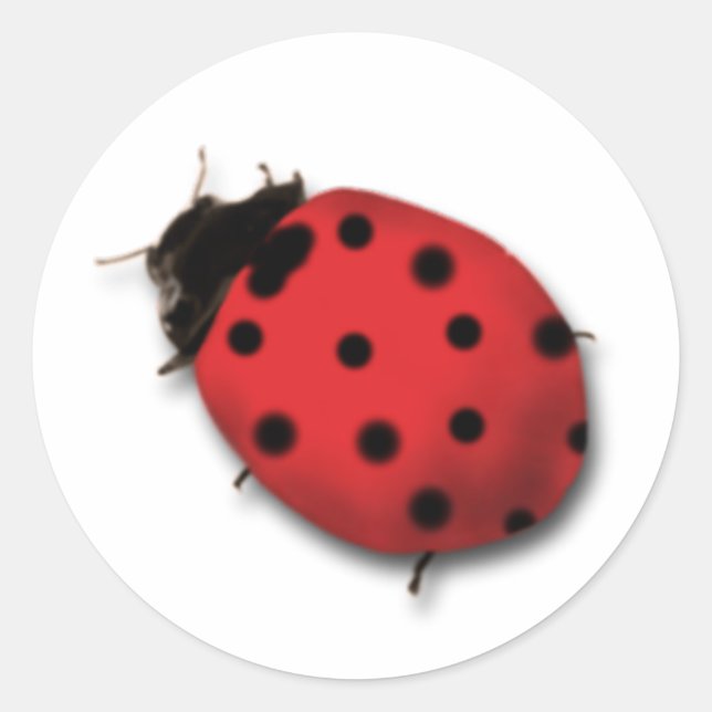 Ladybug Stickers Runt Klistermärke (Framsida)