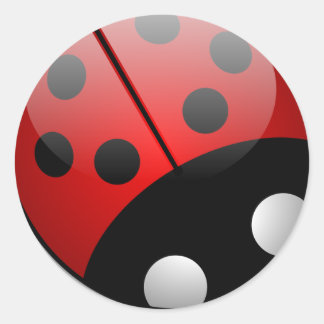 Ladybug Stickers Runt Klistermärke