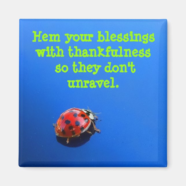 Ladybug Tack Magnet (Framsidan)