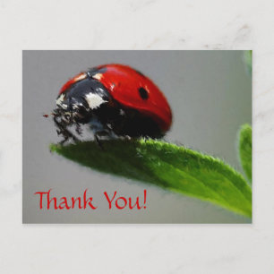 LadyBug Tack! Vykort