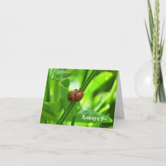 Ladybug - Tankning på ditt kort