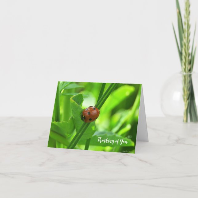 Ladybug - Tankning på ditt kort (Framsida)