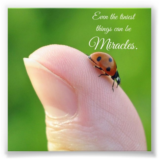 Ladybug Tiny Miracles Quote Square Photo Print Fototryck (Framsidan)
