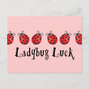 Ladybug Tur Vykort