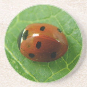 Ladybug Underläggs Underlägg Sandsten