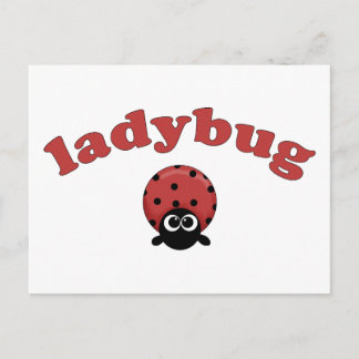 Ladybug Vykort