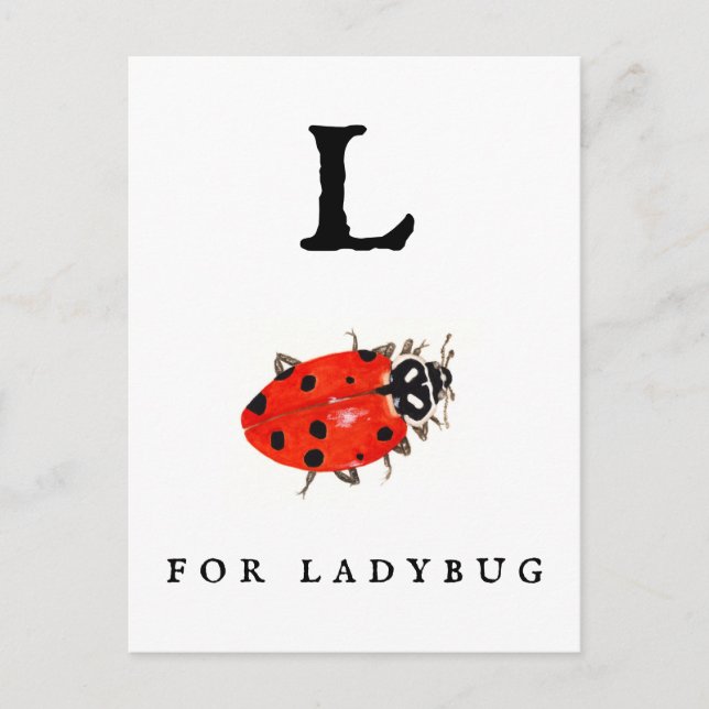 Ladybug Vykort (Framsida)