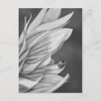 Ladybug Vykort