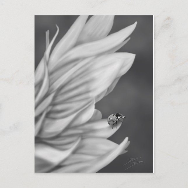 Ladybug Vykort (Framsida)