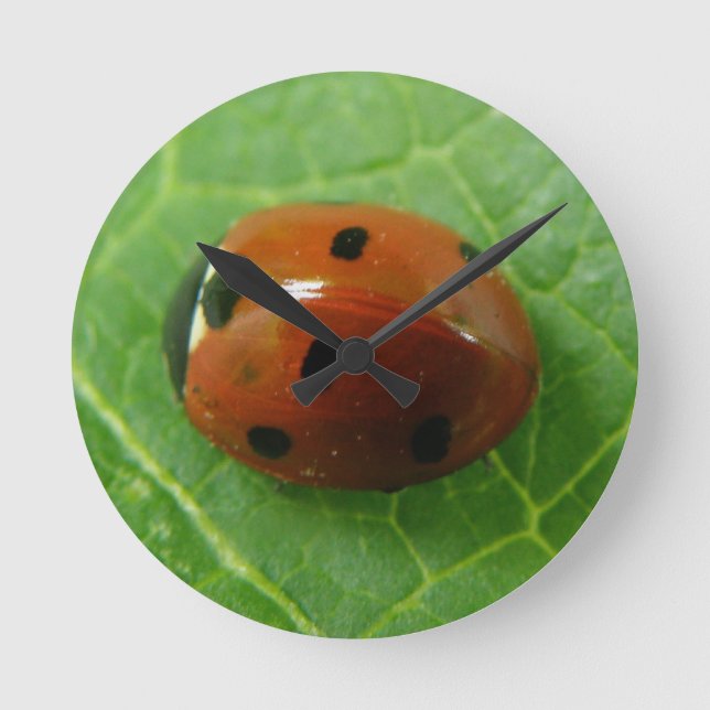 Ladybug Wall Clock Rund Klocka (Framsida)