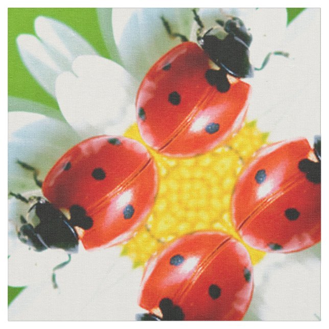 Ladybugs Art 1 Tyg (Närbild)
