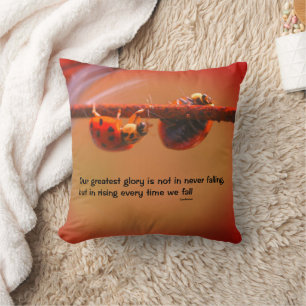 Ladybugs Attitude inspirational Confucius Quote Kudde