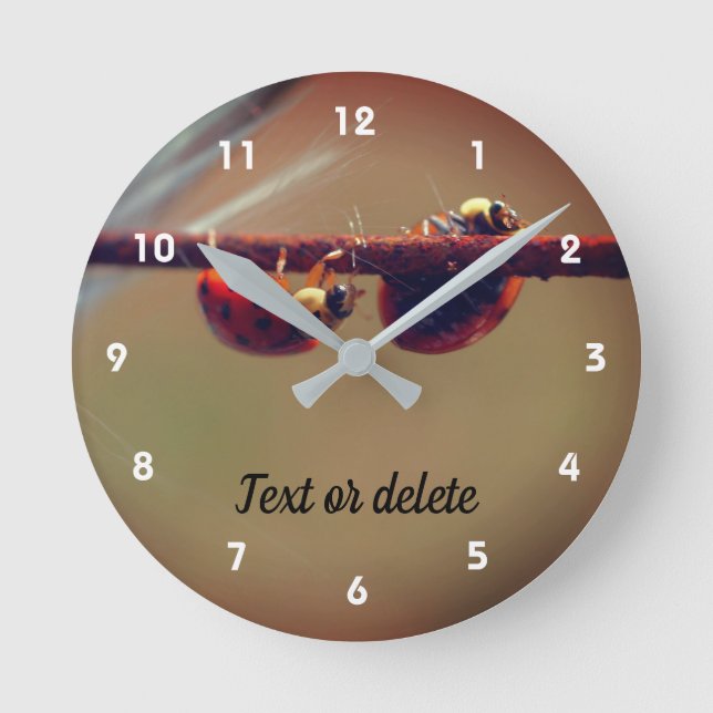 Ladybugs Balancing Close Personlig Rund Klocka (Framsida)