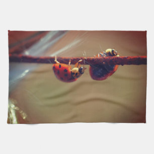 Ladybugs Balancing Close Up  Kökshandduk