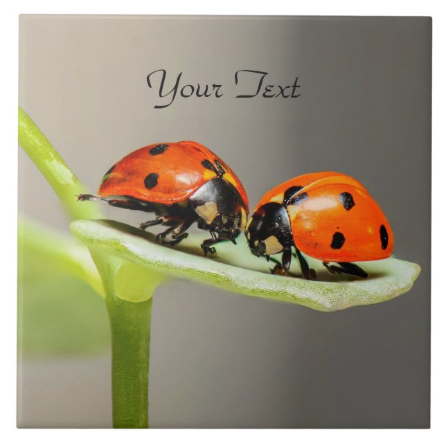 Ladybugs Beetles Ceramic Tile Kakelplatta (Framsidan)