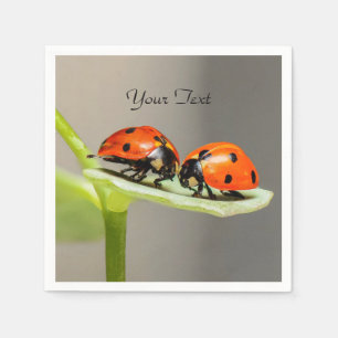 Ladybugs Beetles Napkins Pappersservett