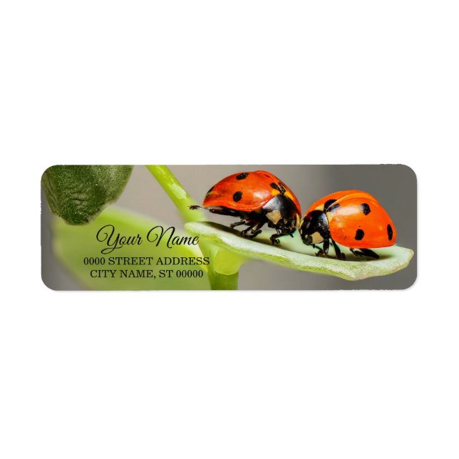 Ladybugs Beetles Returadressetikett Returadress Etikett (Framsidan)