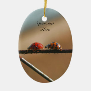 Ladybugs Följ Leader Cute Nature Ornament