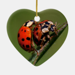Ladybugs i Kärlek Julgransprydnad Keramik