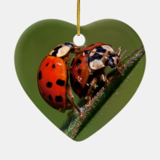 Ladybugs i Kärlek Julgransprydnad Keramik (Baksidan)