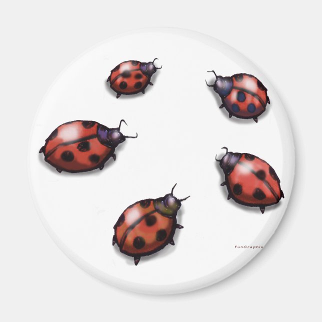 Ladybugs Magnet (Framsidan)