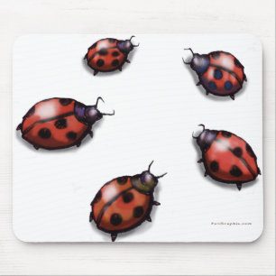 Ladybugs Musmatta