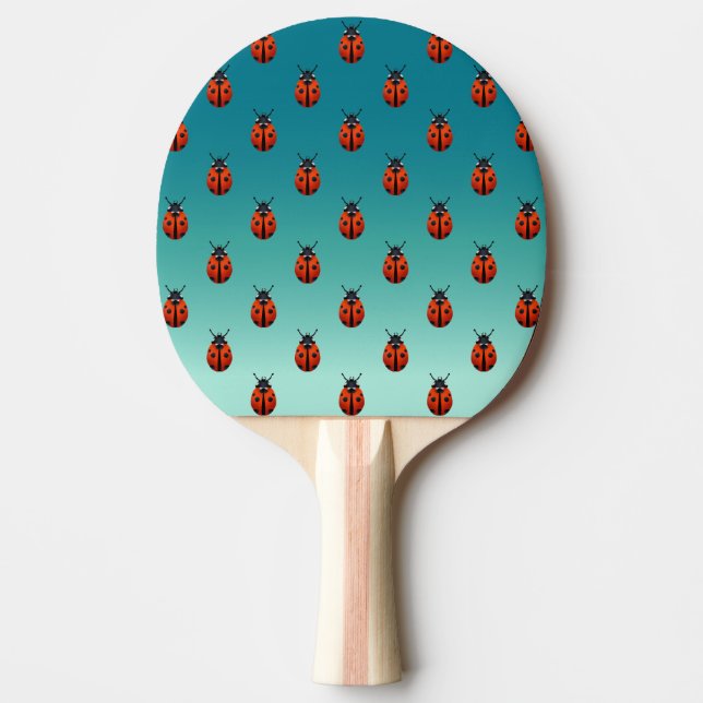 Ladybugs Pingisracket (Framsidan)