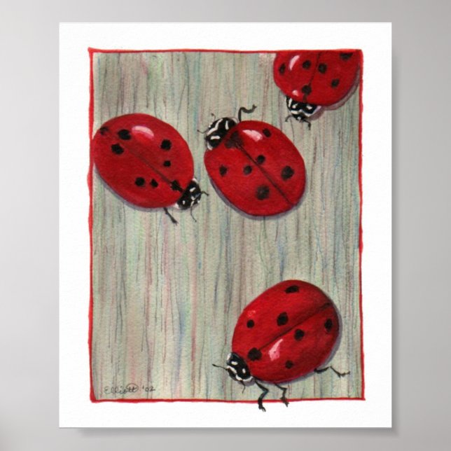 Ladybugs! Poster (Framsidan)