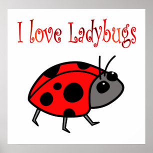 Ladybugs Poster