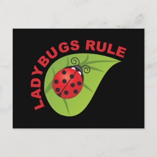 Ladybugs regel vykort