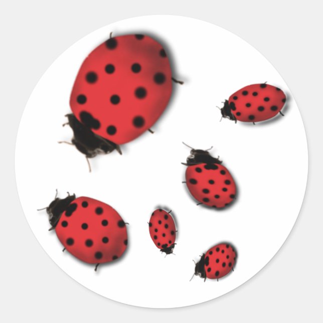Ladybugs Runt Klistermärke (Framsida)
