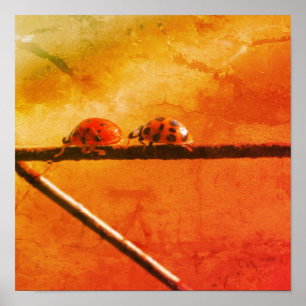 Ladybugs Spela upp enligt Leader Abstrakt Grunge Poster