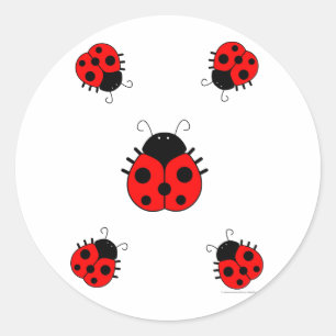 Ladybugs Sticker Runt Klistermärke