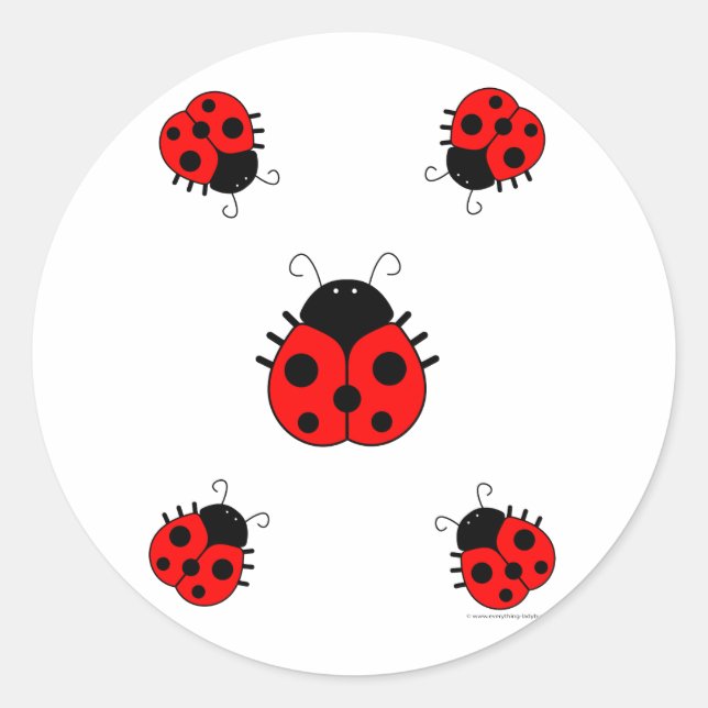 Ladybugs Sticker Runt Klistermärke (Framsida)