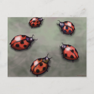 Ladybugs Vykort