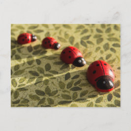Ladybugs vykort