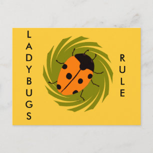 Ladybugs Vykort