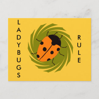 Ladybugs Vykort